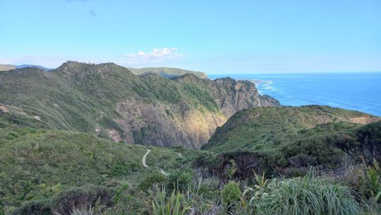 Comment les promenades en nature peuvent-elles transformer notre bien-être au quotidien ?